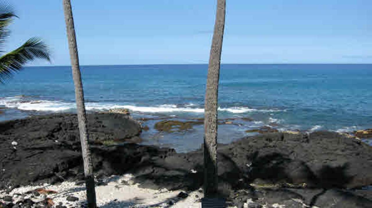 Oceanfront-Incredible Views, Surf Break & Romantic Sunsets At Bali Kai 223 Kailua-Kona Exteriör bild